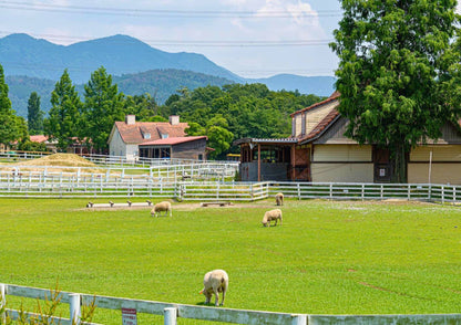 8 DAYS EAST KANSAI PRIVATE TOUR