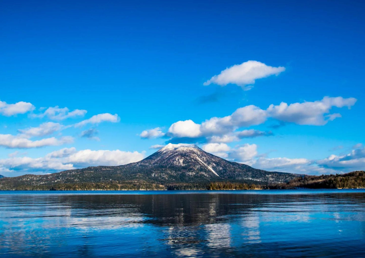 7 天北海道道東私人包團