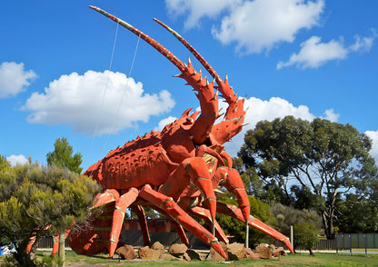 8 DAYS SOUTHERN AUSTRALIA PRIVATE TOUR