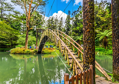 6 DAYS TAICHUNG PRIVATE TOUR