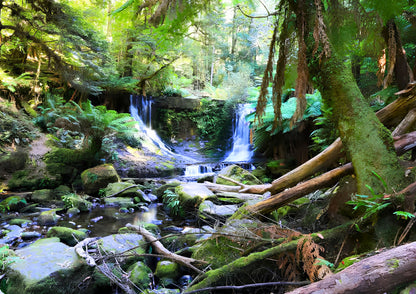 8 DAYS TASMANIA PRIVATE TOUR