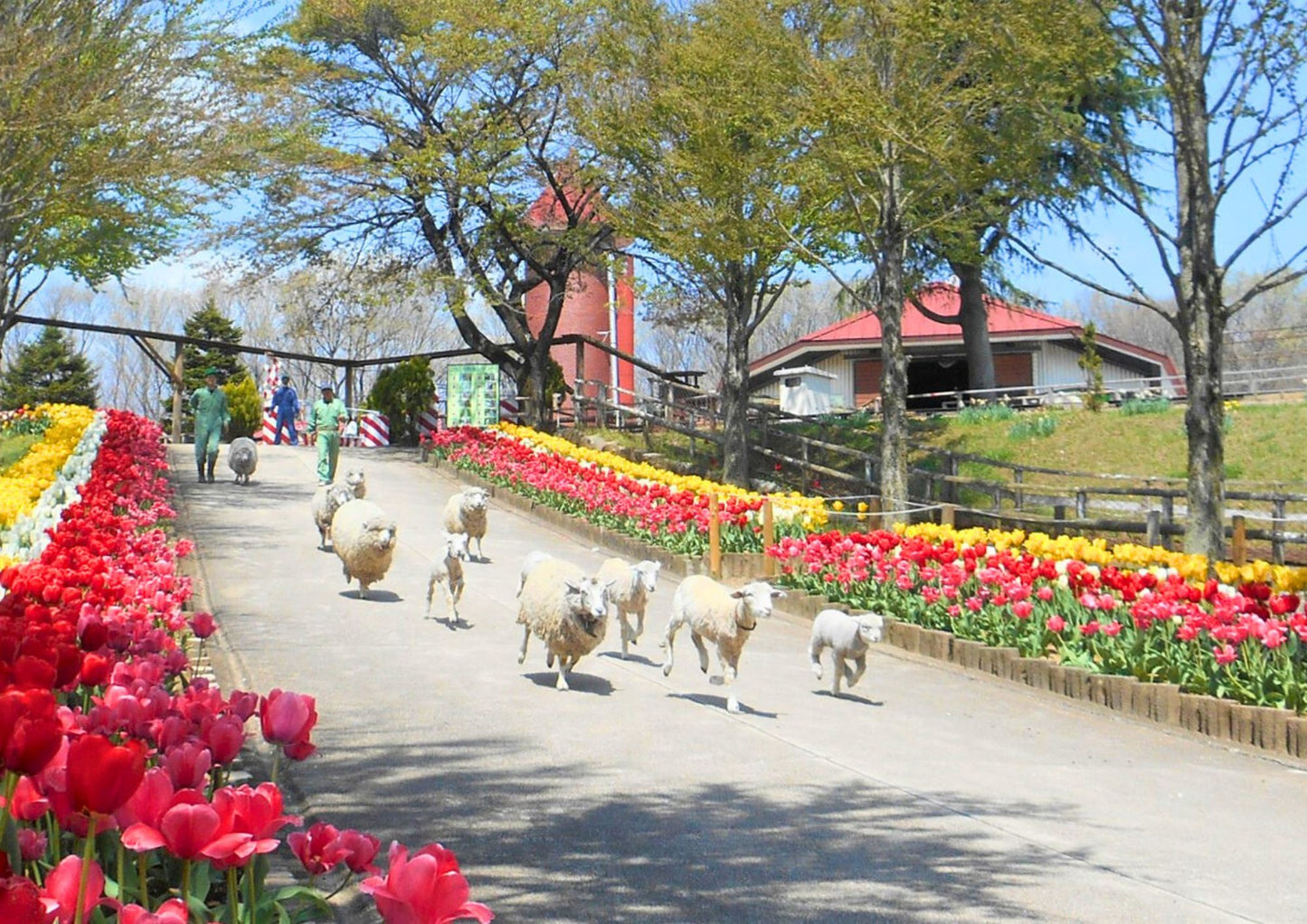 8 DAYS NORTH KANTO PRIVATE TOUR