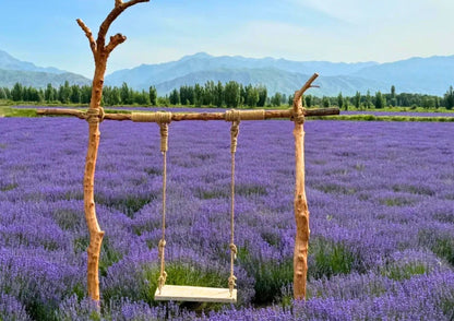 10 DAYS NORTH & WEST XINJIANG PRIVATE TOUR