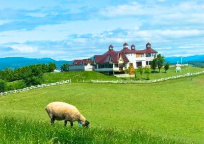 7 天北海道道北私人包團