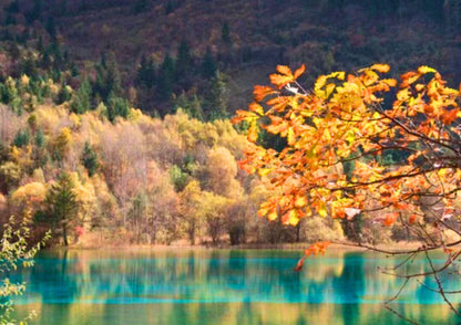 8 DAYS JIUZHAIGOU PRIVATE TOUR