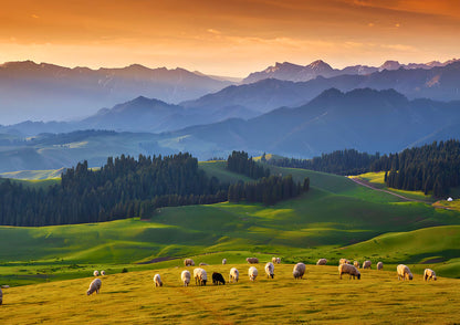 12 DAYS NORTH & EAST XINJIANG PRIVATE TOUR