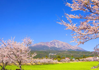 7 DAYS SOUTH KYUSHU PRIVATE TOUR