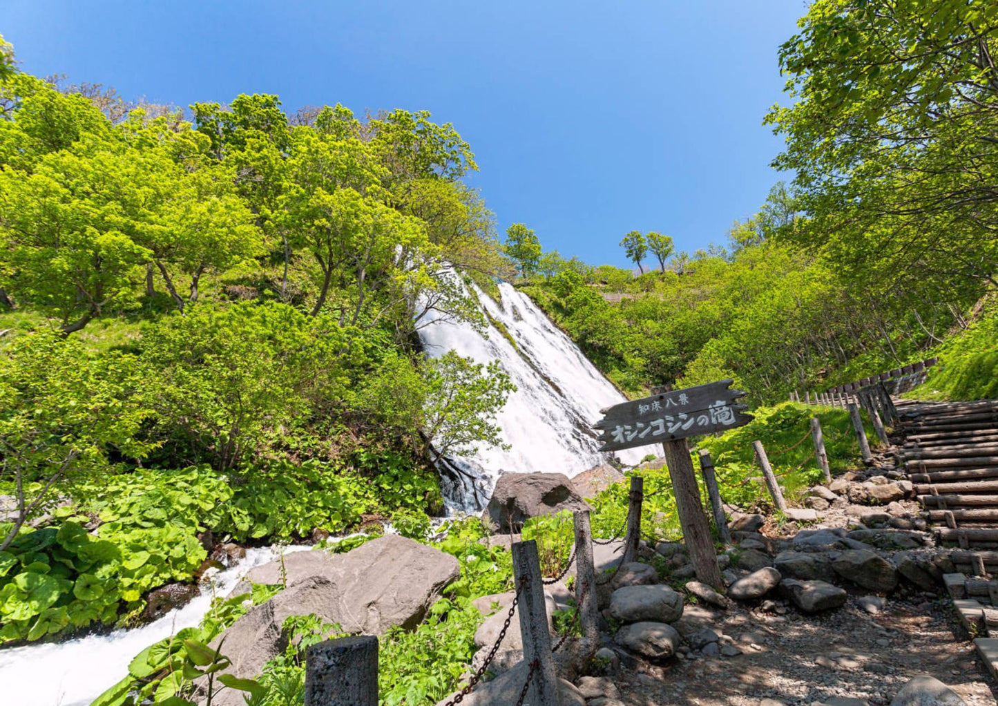 8日間の北海道道東プライベートツアー