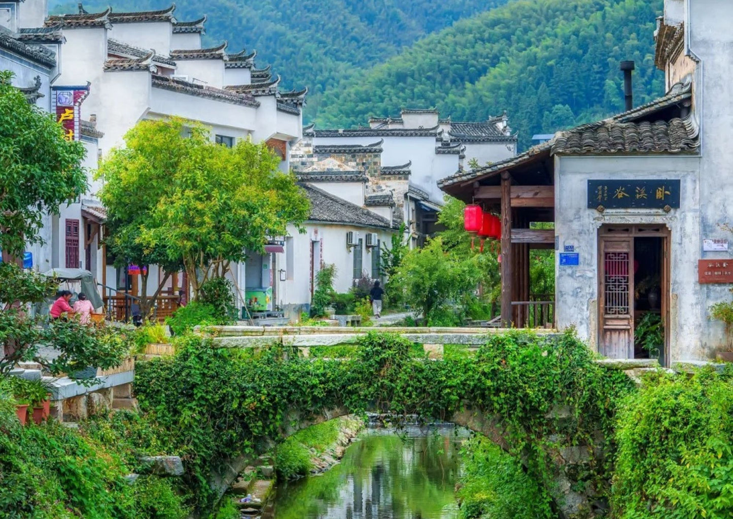 7日間の黄山プライベートツアー