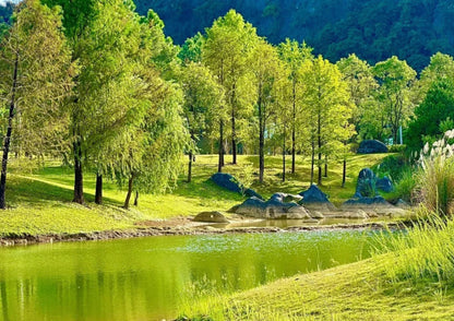 4 DAYS QINGYUAN PRIVATE TOUR