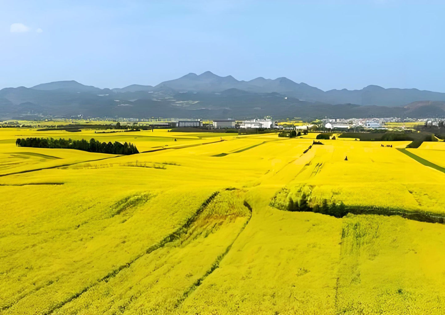 14 DAYS XISHUANGBANNA PRIVATE TOUR