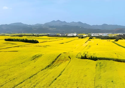 14 DAYS XISHUANGBANNA PRIVATE TOUR