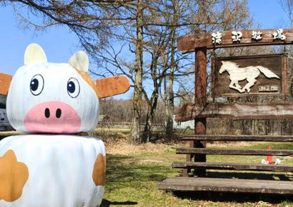 10天甲信越私人包團