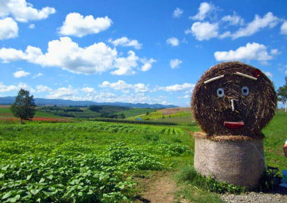 6 天北海道道東私人包團