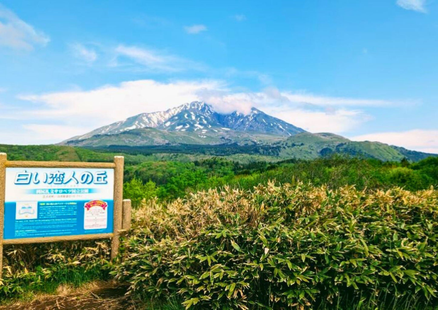 7 天北海道道北私人包團