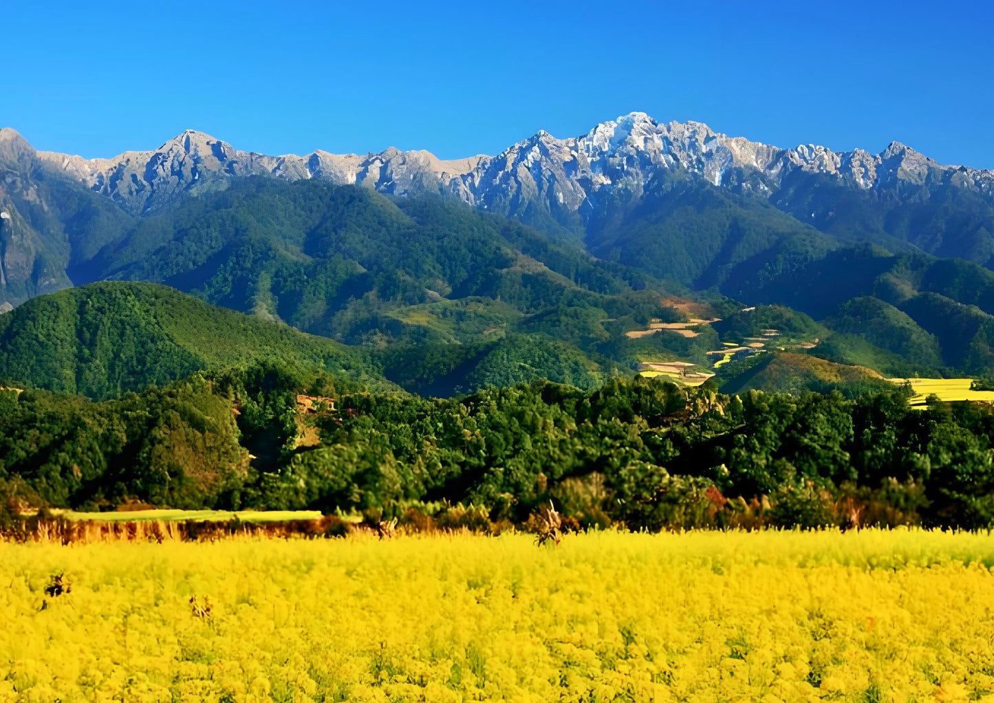 14 DAYS XISHUANGBANNA PRIVATE TOUR