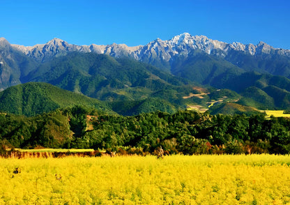 14 DAYS XISHUANGBANNA PRIVATE TOUR