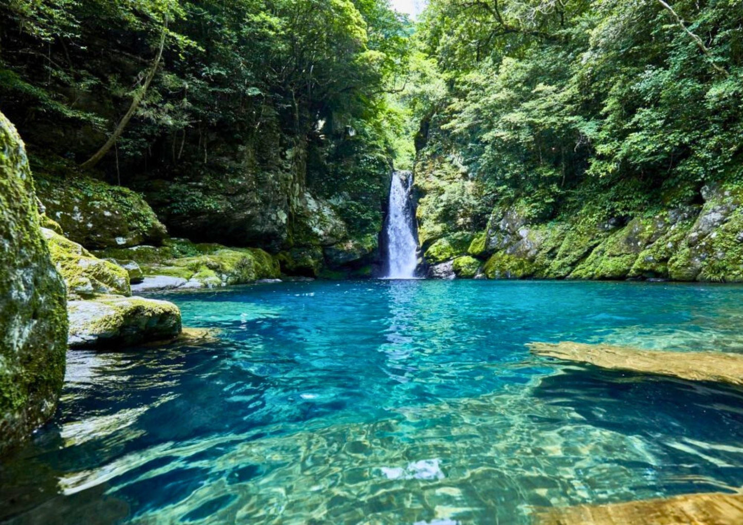 7 DAYS SHIKOKU PRIVATE TOUR