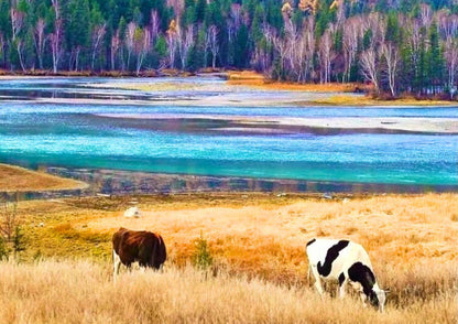 10 DAYS NORTH & EAST XINJIANG PRIVATE TOUR