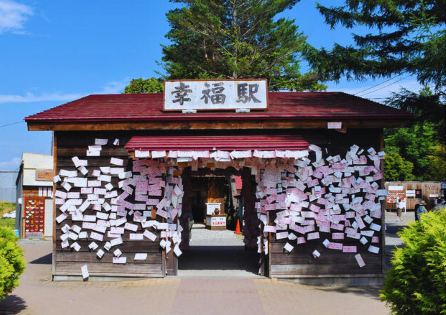 6 天北海道道東私人包團