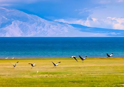 10 DAYS NORTH & WEST XINJIANG PRIVATE TOUR
