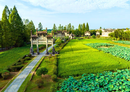 7日間の黄山プライベートツアー