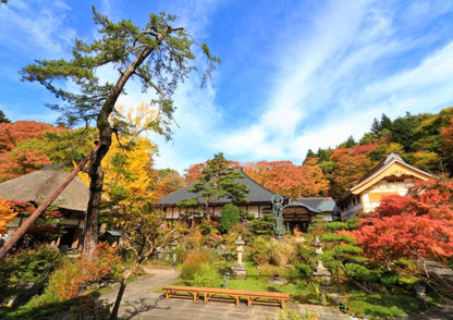 5 DAYS NORTH KANTO PRIVATE TOUR