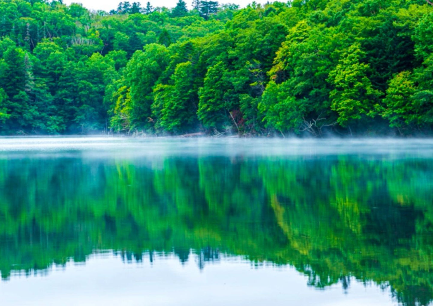 6 天北海道道東私人包團