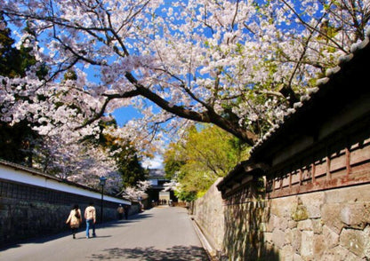 8 DAYS SOUTH KYUSHU PRIVATE TOUR