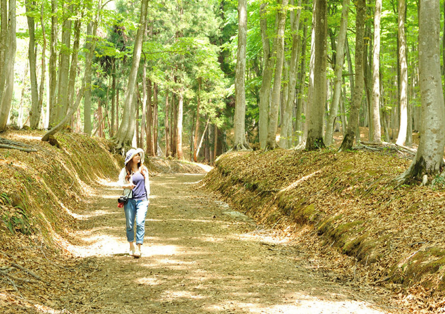 10天甲信越私人包團