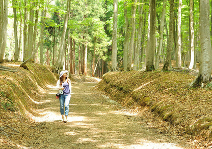 10天甲信越私人包團