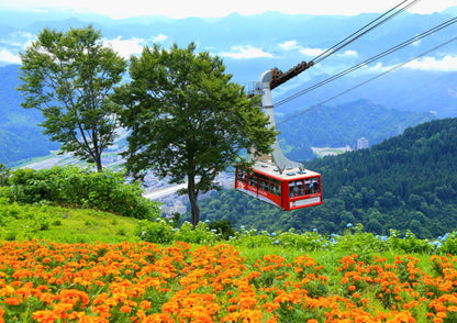 10天甲信越私人包團