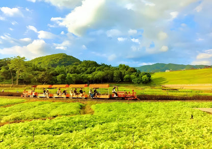 3 DAYS GUANGZHOU & CONGHUA PRIVATE TOUR