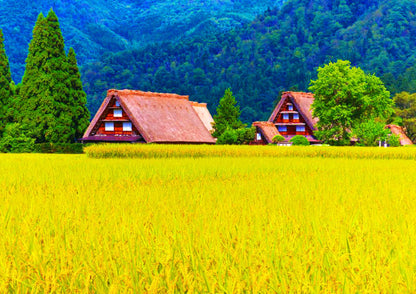 5 DAYS SHIRAKAWA-GO PRIVATE TOUR