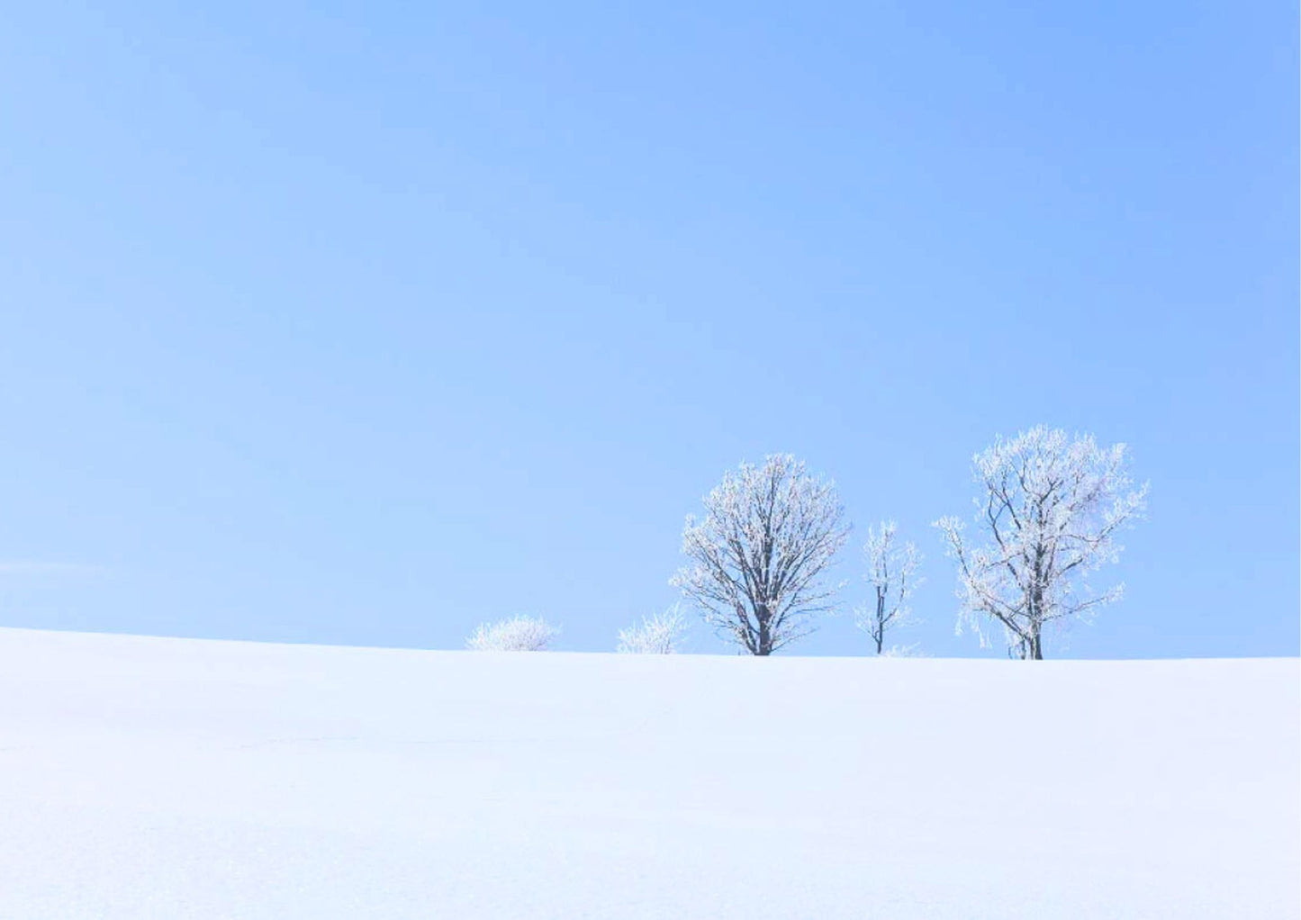 6 天北海道道東私人包團