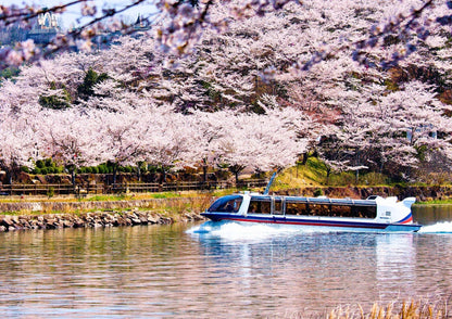 7日間の白川郷プライベートツアー