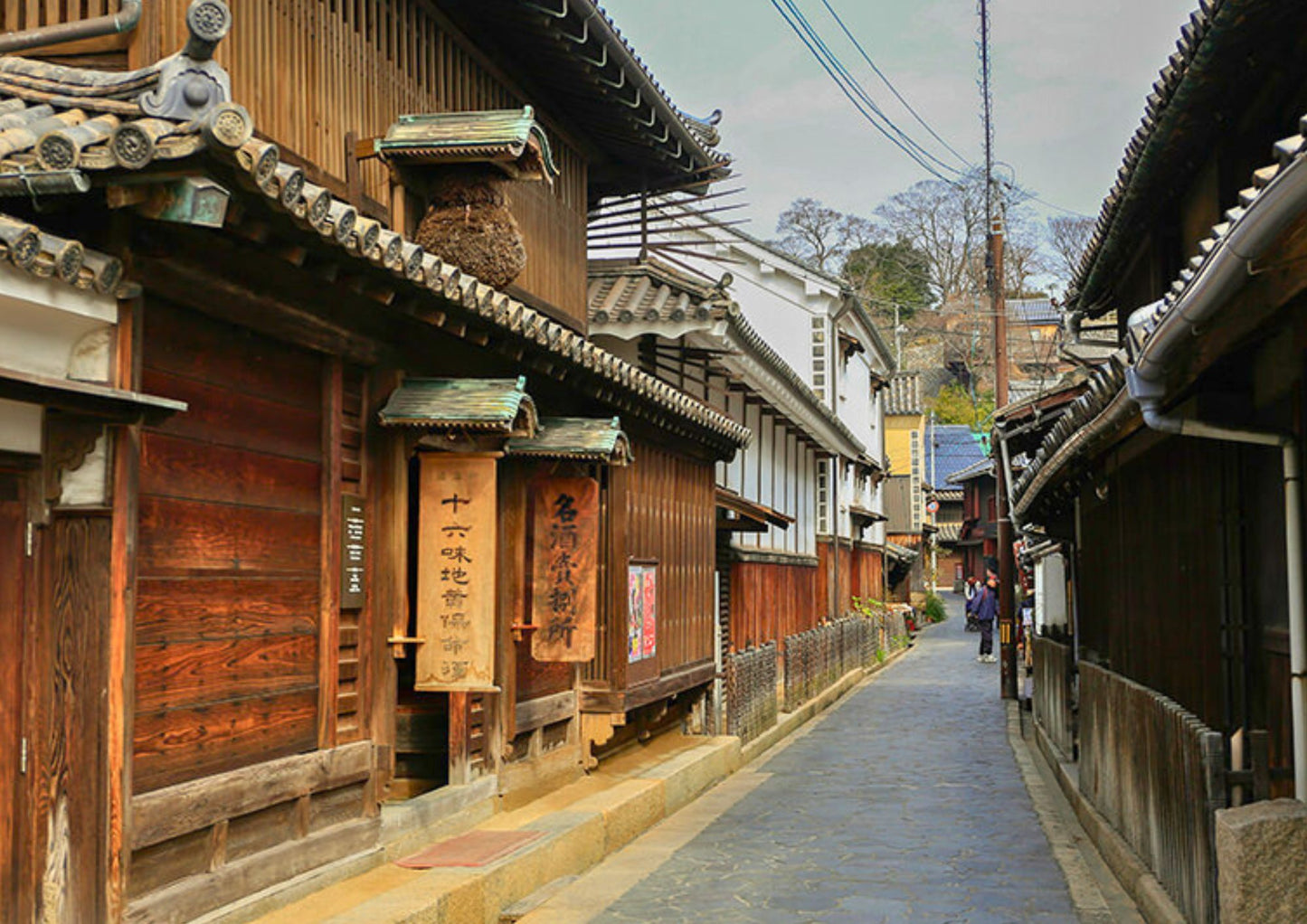 14天山陽・山陰私人包團