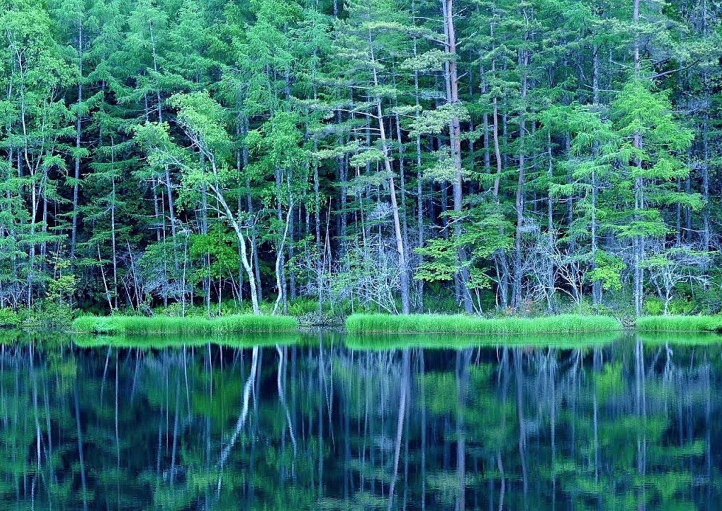 13天甲信越私人包團