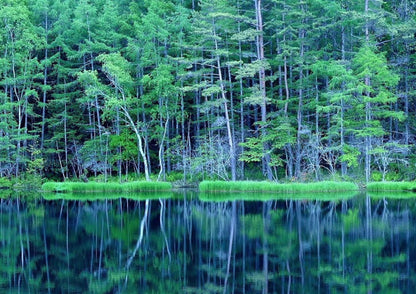 13天甲信越私人包團