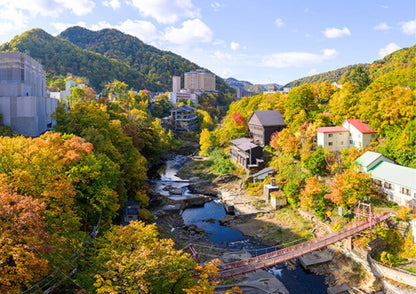 8 DAYS SOUTH HOKKADIO PRIVATE TOUR