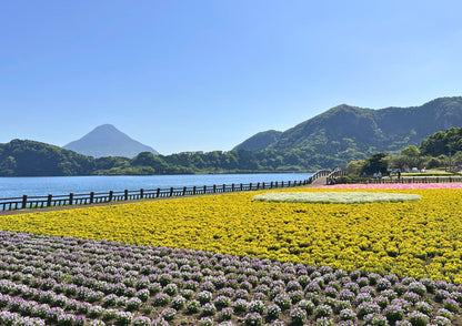 7 DAYS SOUTH KYUSHU PRIVATE TOUR