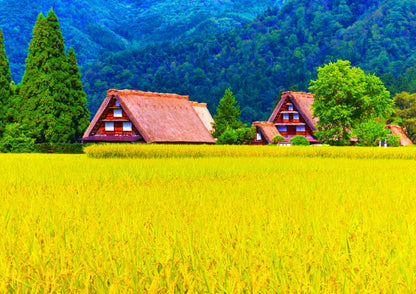 6 DAYS SHIRAKAWA-GO PRIVATE TOUR