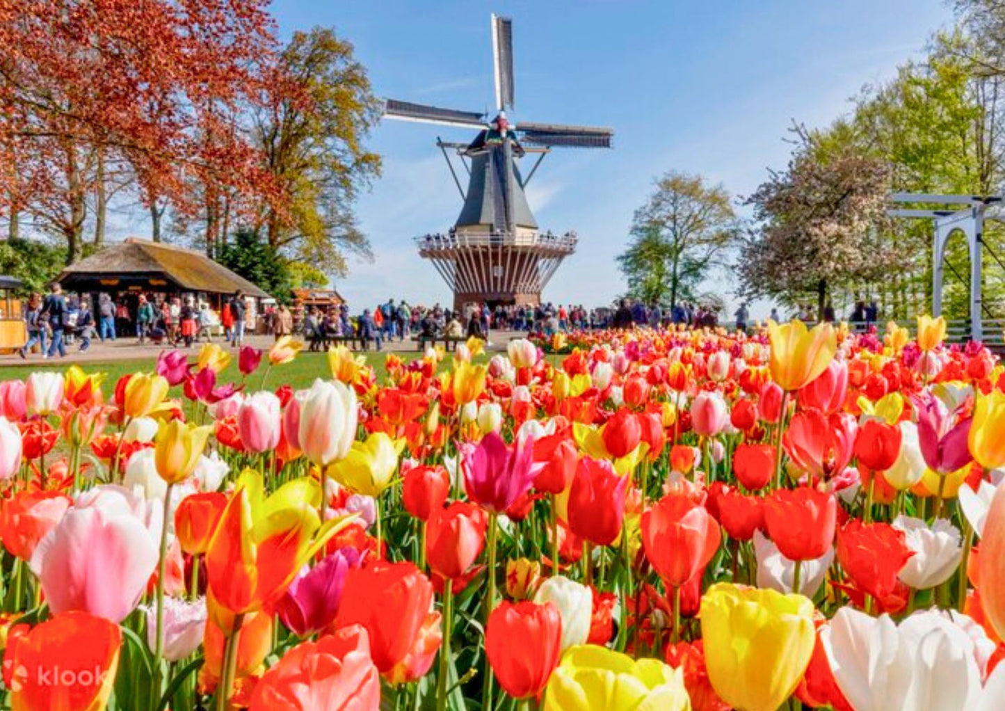 11 天荷蘭、比利時、盧森堡私人包團