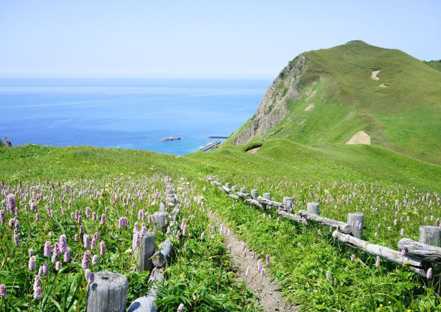 7 天北海道道北私人包團