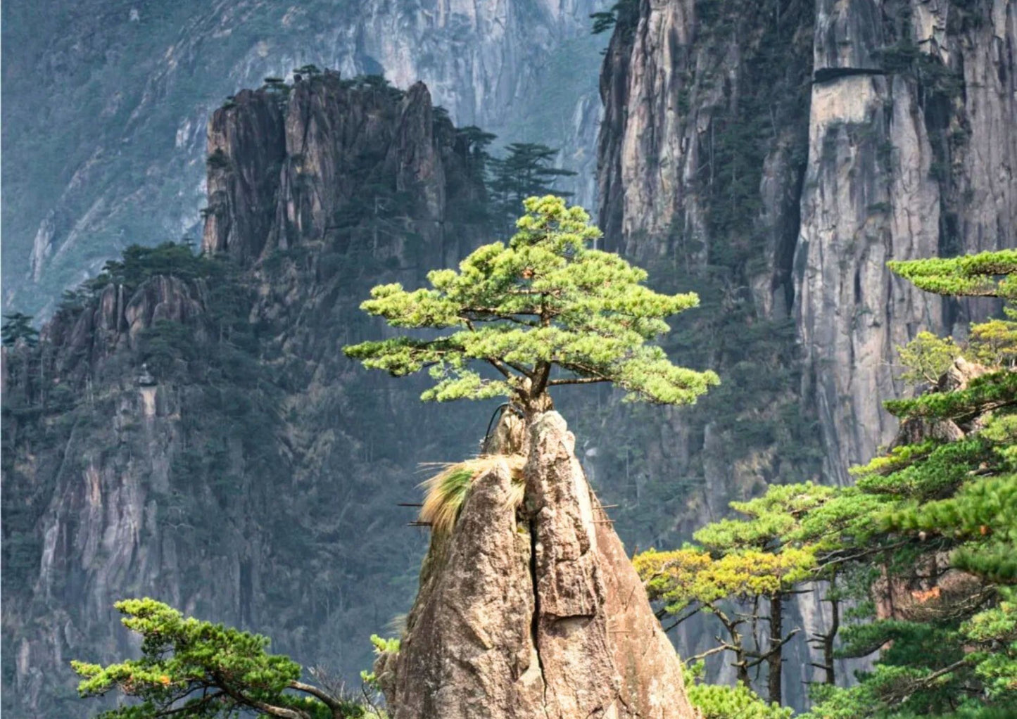 7日間の黄山プライベートツアー