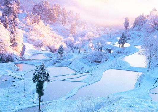 11 DAYS KOSHINETSU PRIVATE TOUR