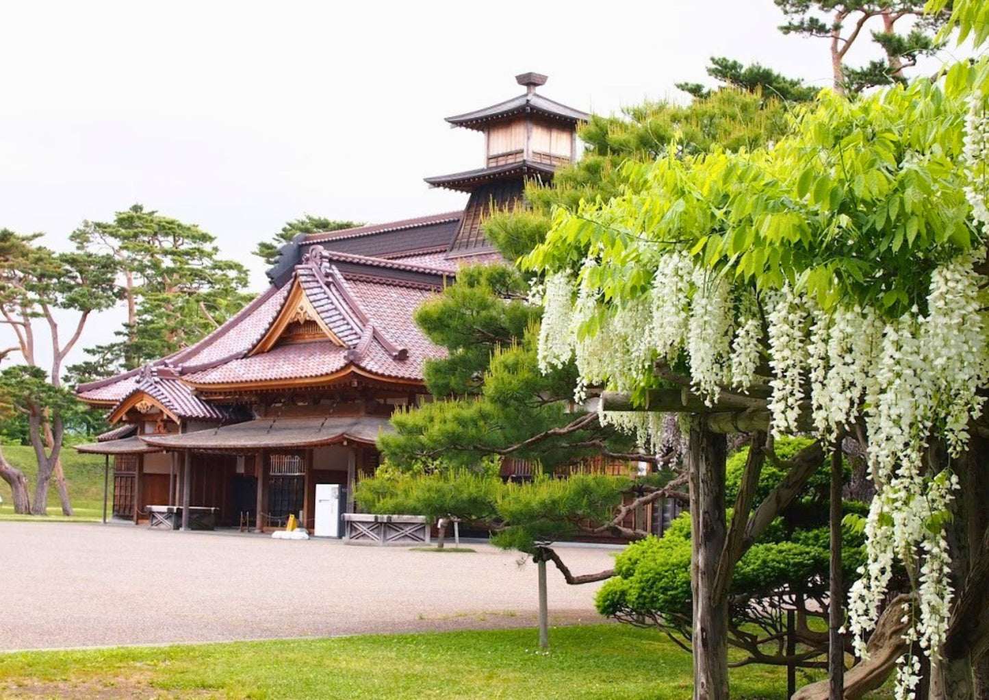 6 天北海道道南私人包團