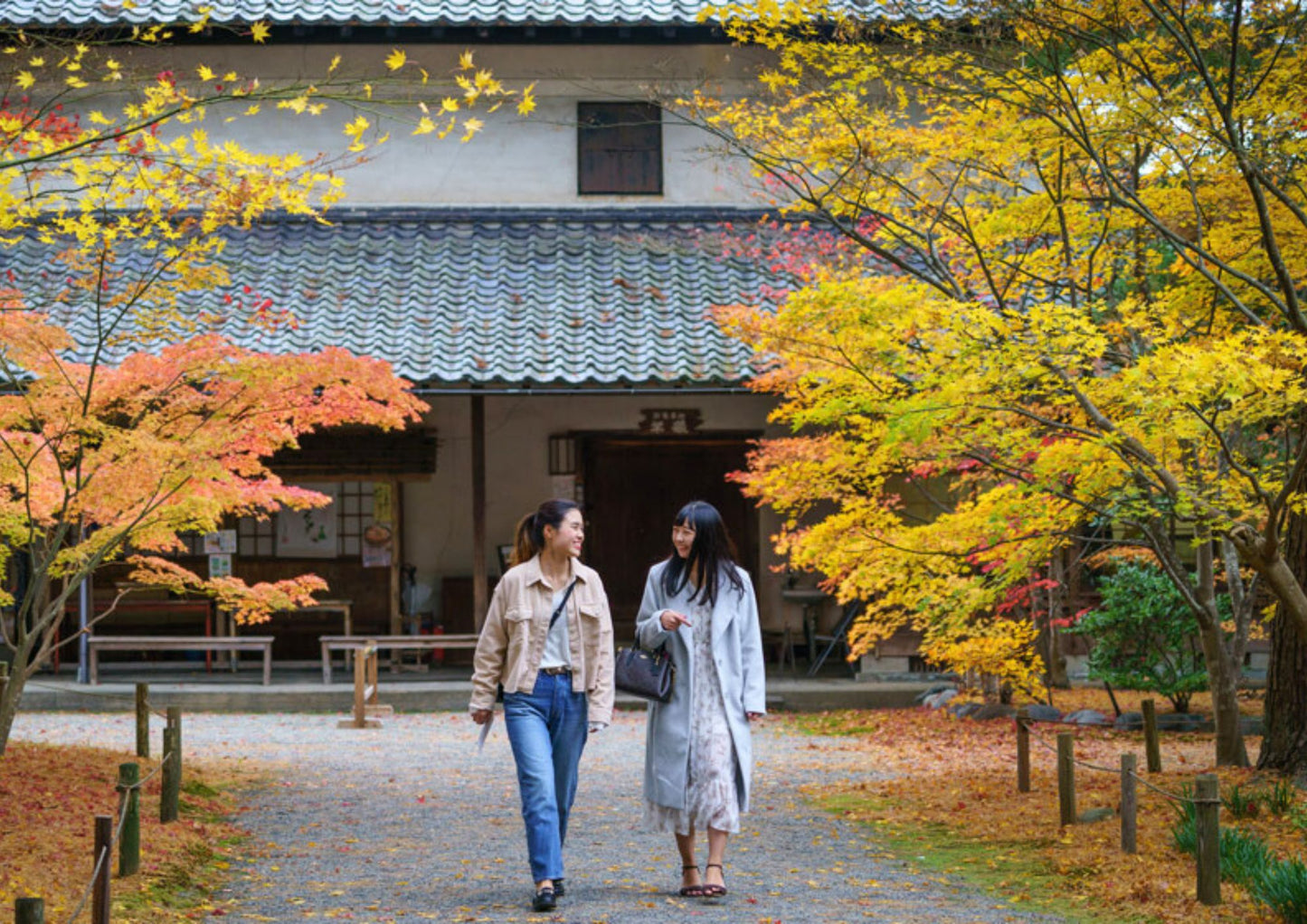 10天甲信越私人包團