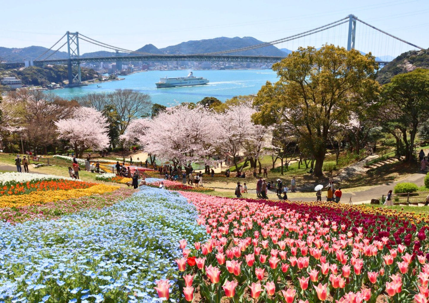 11 日間の山陽・山陰プライベートツアー