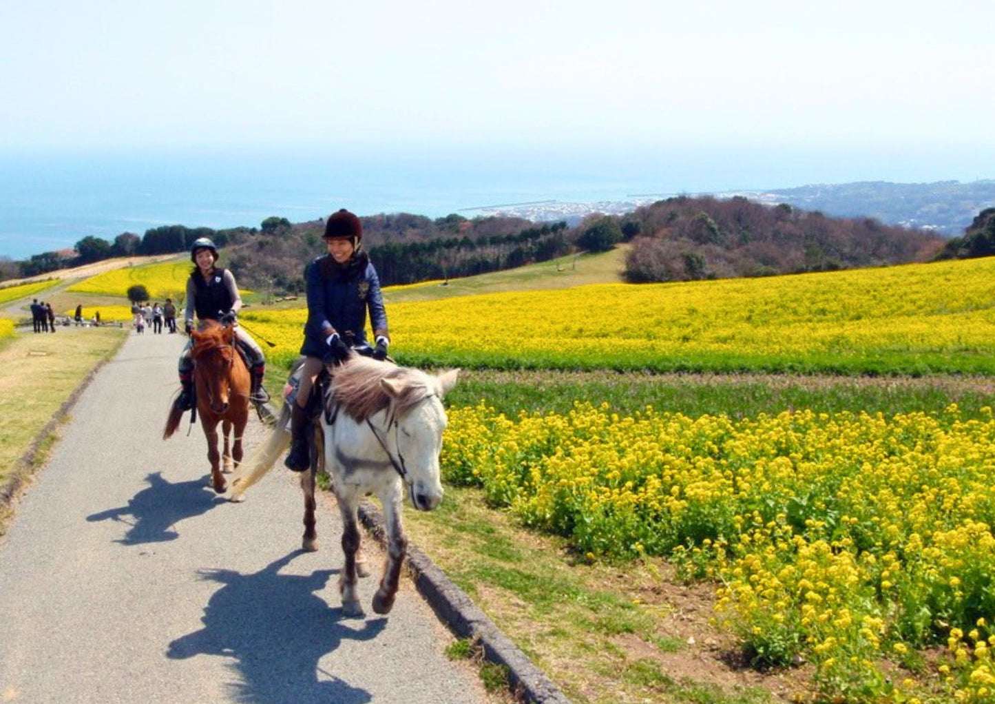 8 DAYS WEST KANSAI PRIVATE TOUR